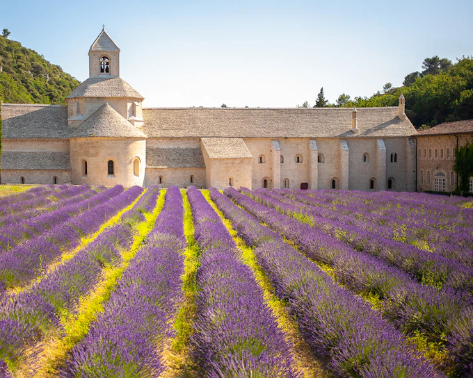 From Marseille: Lavender Fields Full-Day Tour