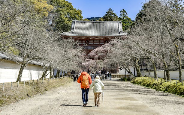 Visitors walking towards Daigoji Temple entrance in Kyoto, surrounded by trees.