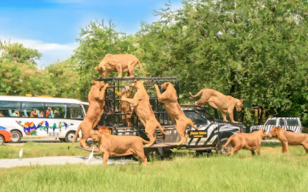 Safari World + Marine Park Tickets with Lunch and Optional Transfers
