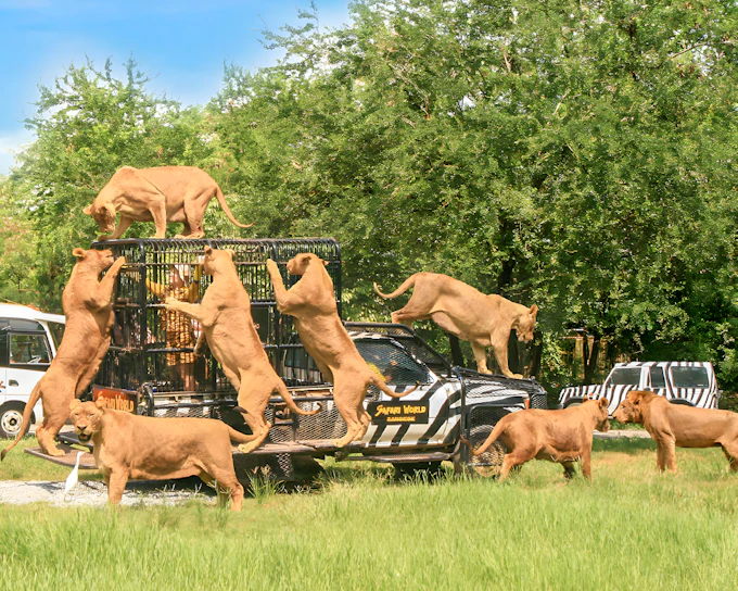 Safari World + Marine Park Tickets with Lunch and Optional Transfers