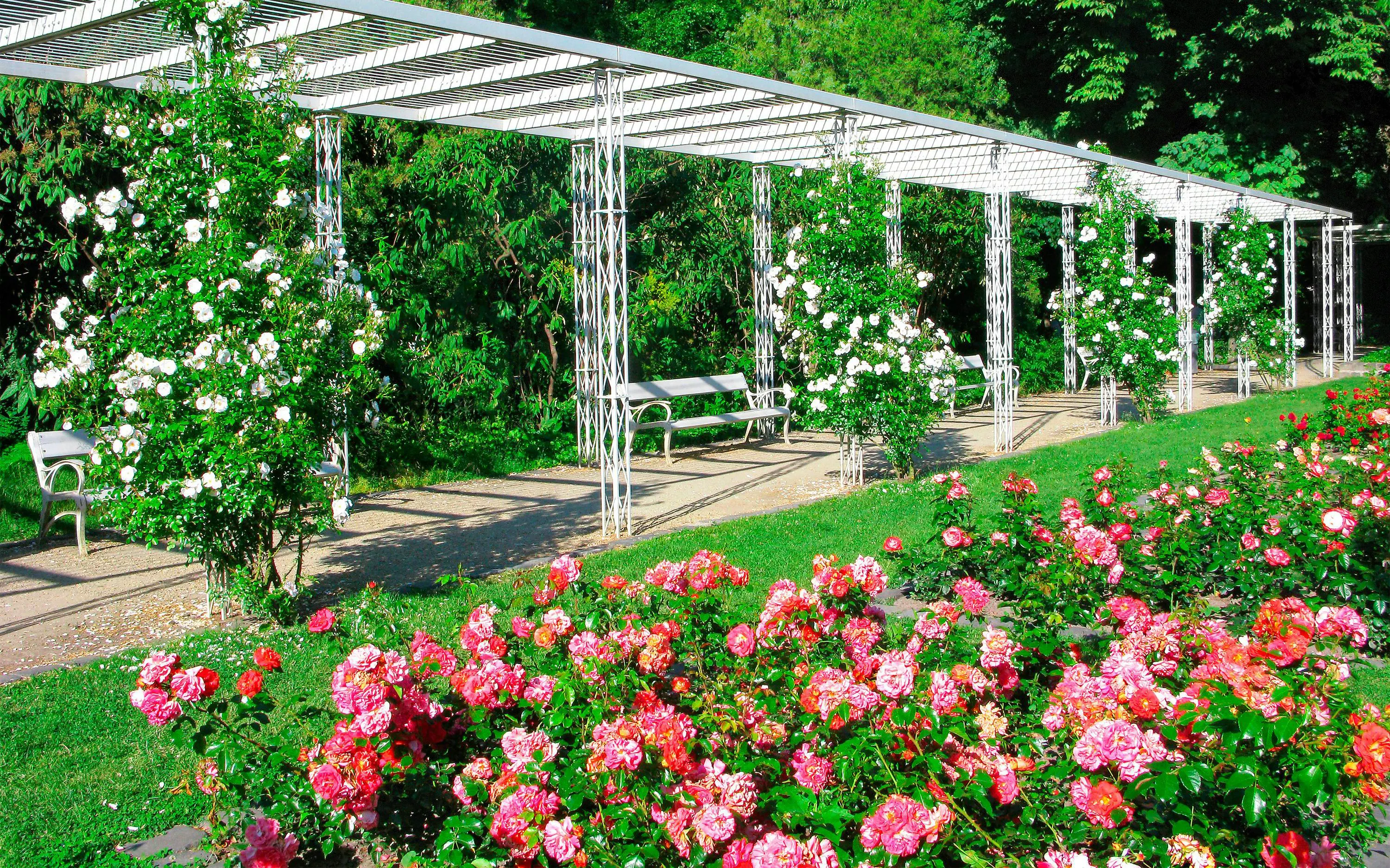 Rose Garden and Light Garden