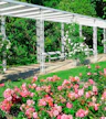 Rose Garden and Light Garden