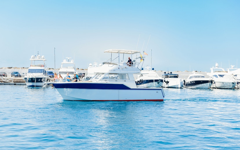 Boat on water during Private Dolphin & Whale Watching Cruise, Gran Canaria.