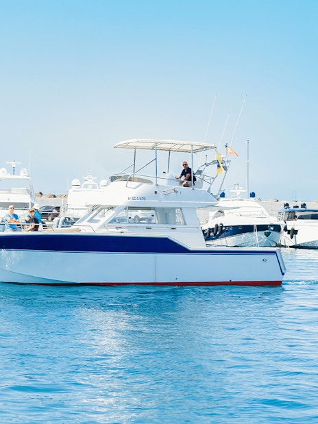 Boat on water during Private Dolphin & Whale Watching Cruise, Gran Canaria.