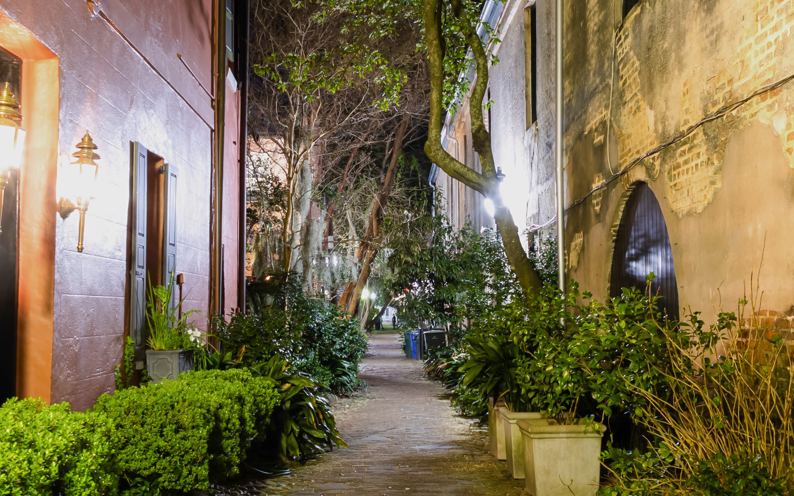 Haunted Philadelphia Alley at night, Charleston, South Carolina, with historic buildings and trees.