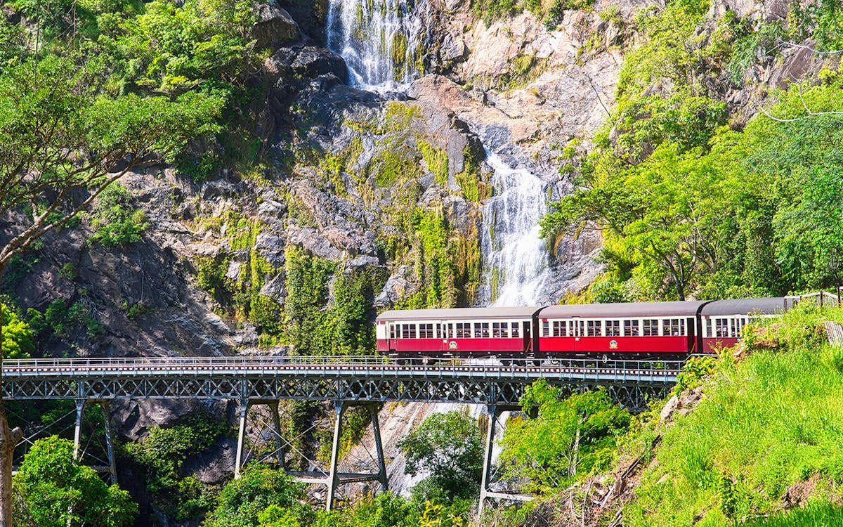 full-day tour of kuranda: skyrail, rainforestation, lunch and scenic rail-5 full-day tour of kuranda: skyrail, rainforestation, lunch and scenic rail-5