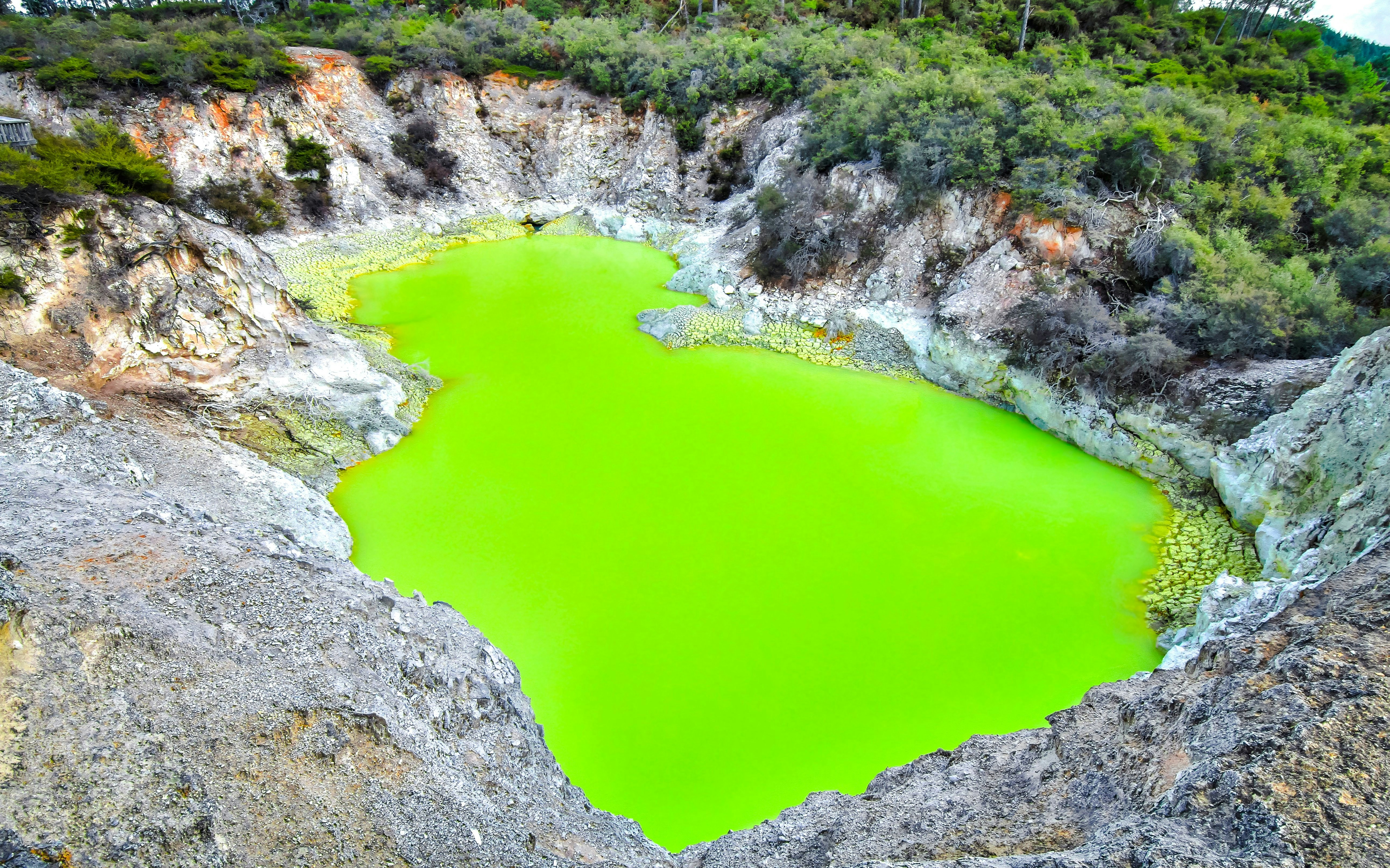 Devil's Bath, vibrant green pool at Wai-O-Tapu Thermal Wonderland, New Zealand.