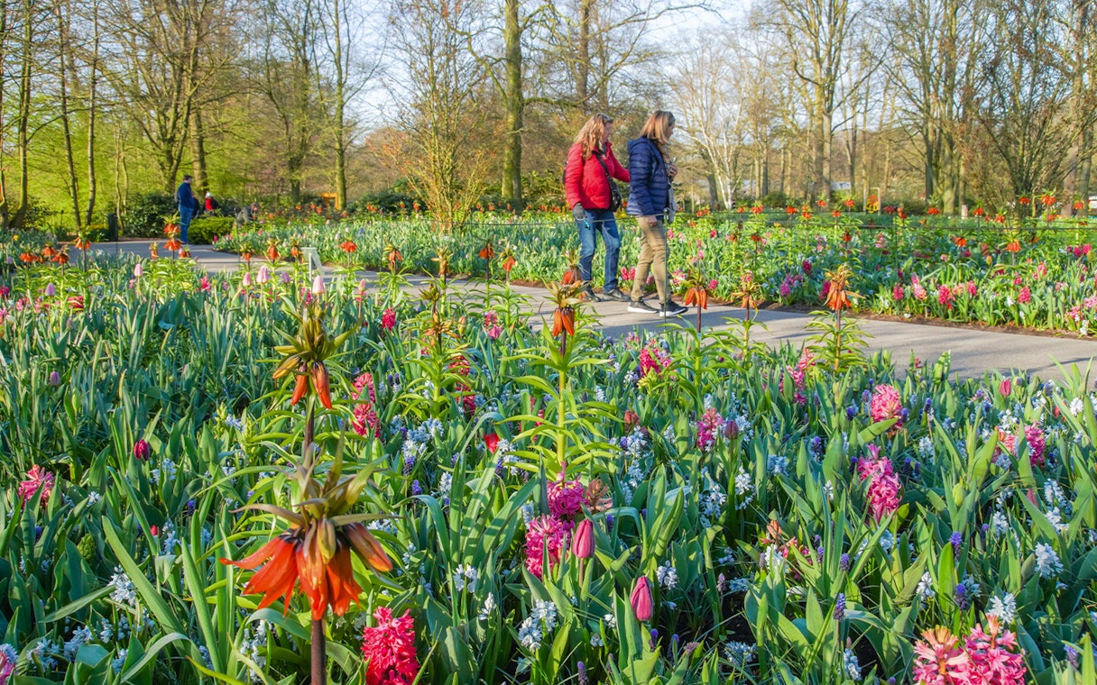 Guests walking through colorful flower beds at Keukenhof Gardens.