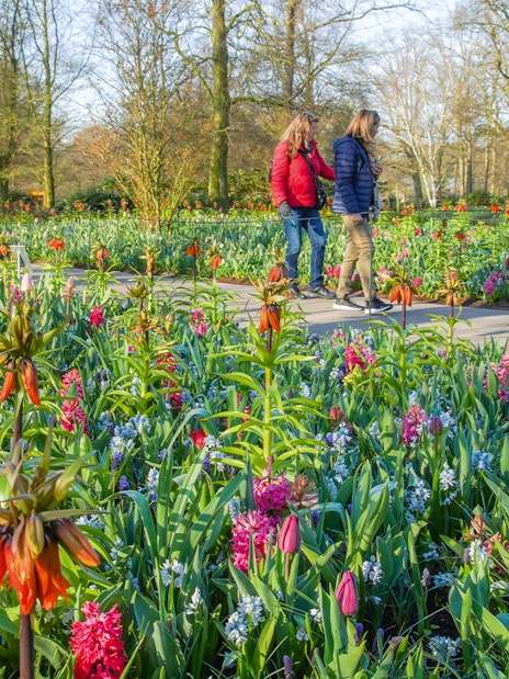 Guests walking through colorful flower beds at Keukenhof Gardens.