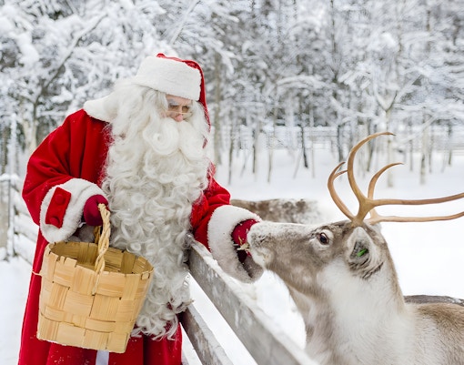 Santa's pet at Santa Claus Village