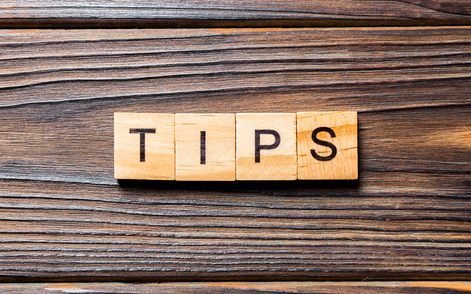 Parque Warner Madrid