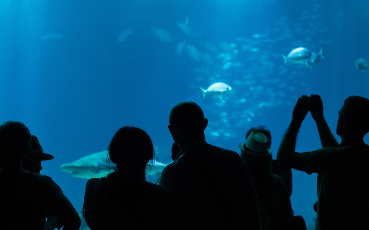 Visitors observing marine life at Lisbon Oceanarium, Lisbon.