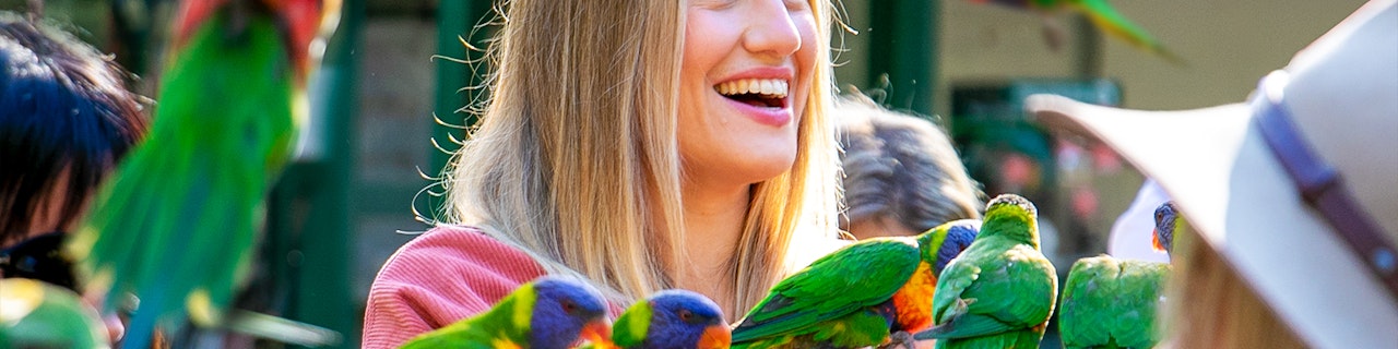 Biglietti per il Currumbin Wildlife Sanctuary