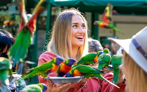 Santuário da Vida Selvagem de Currumbin: Bilhetes