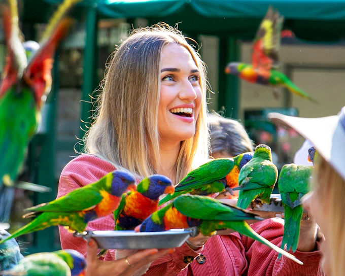 Currumbin Wildlife Sanctuary Tickets