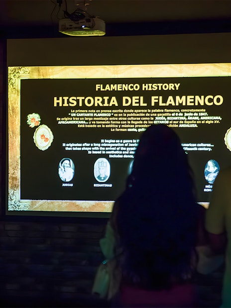 Visitors viewing a Flamenco history presentation in a dimly lit room.