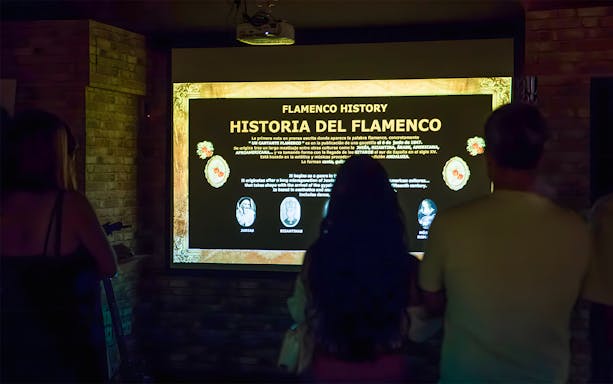 Visitors viewing a Flamenco history presentation in a dimly lit room.