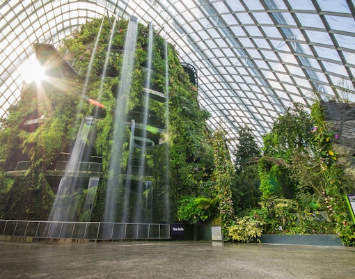 Floral Fantasy Singapore - Waltz