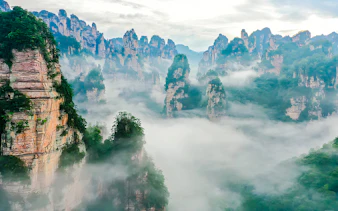 Zhangjiajie's misty sandstone pillars in a lush forest landscape.