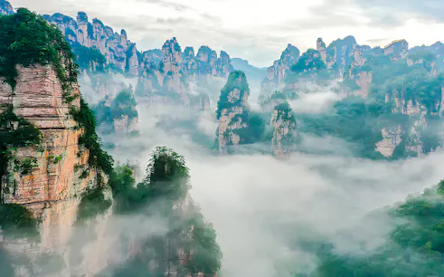 Zhangjiajie's misty sandstone pillars in a lush forest landscape.