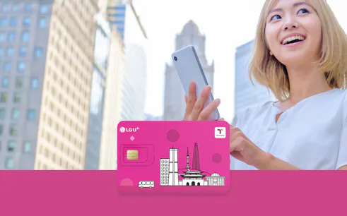 Korea SIM and T Money card with cityscape background.