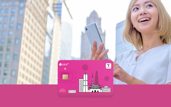 Korea SIM and T Money card with cityscape background.