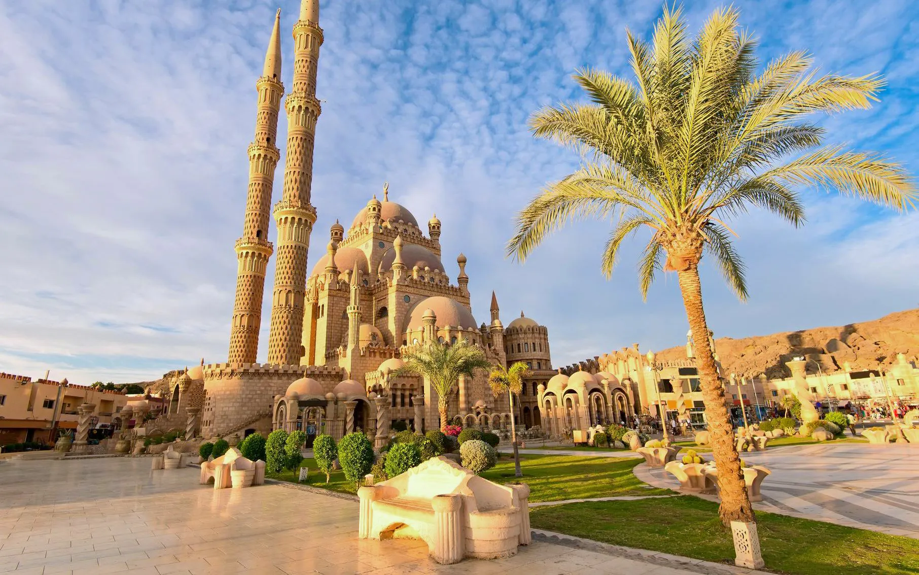 Sharm El-Sheikh mosque with palm tree and courtyard in the foreground.