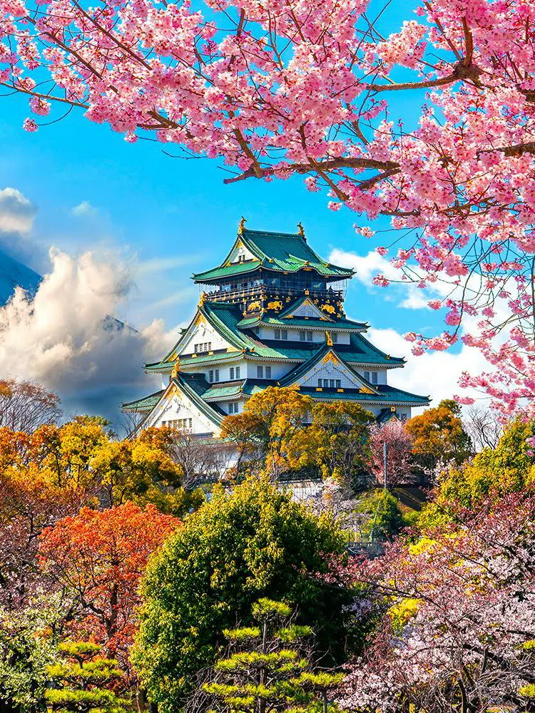 Osaka Castle surrounded by cherry blossoms with Mount Fuji in the background, Japan.
