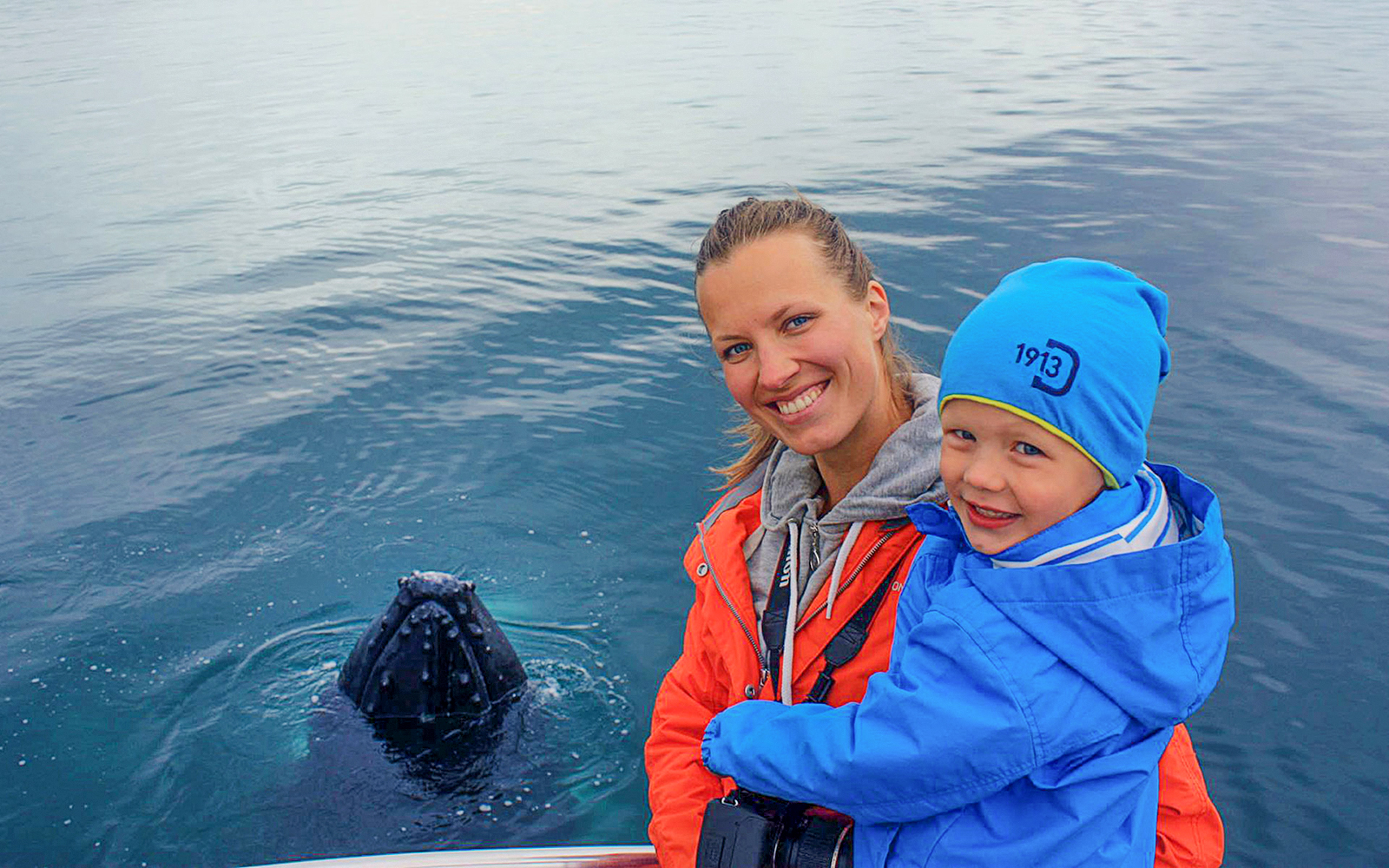 Guests observing a whale in Eyjafjörður, Iceland.