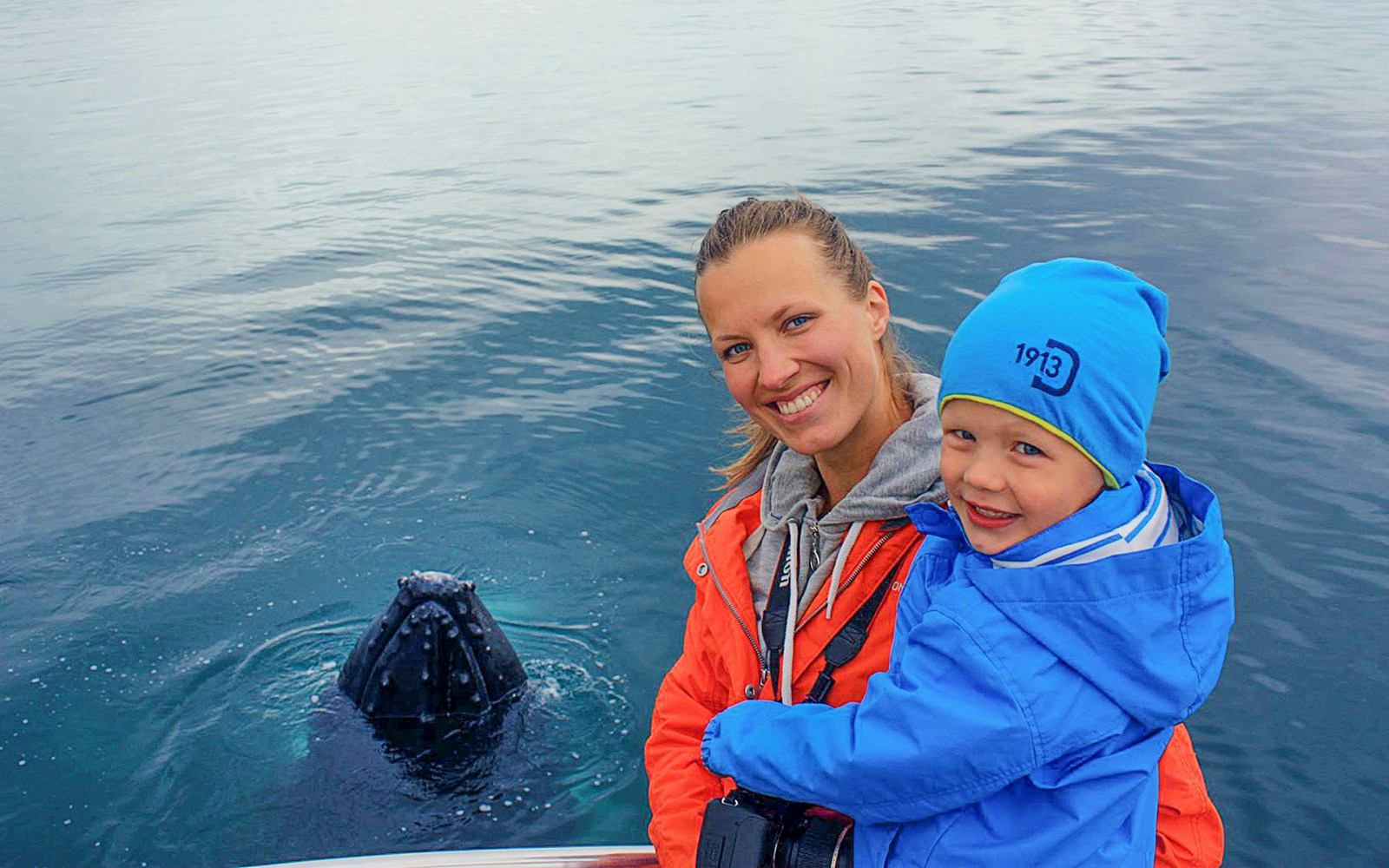 Guests observing a whale in Eyjafjörður, Iceland.