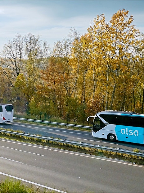 Alsa buses on a highway near autumn trees, Granada route.