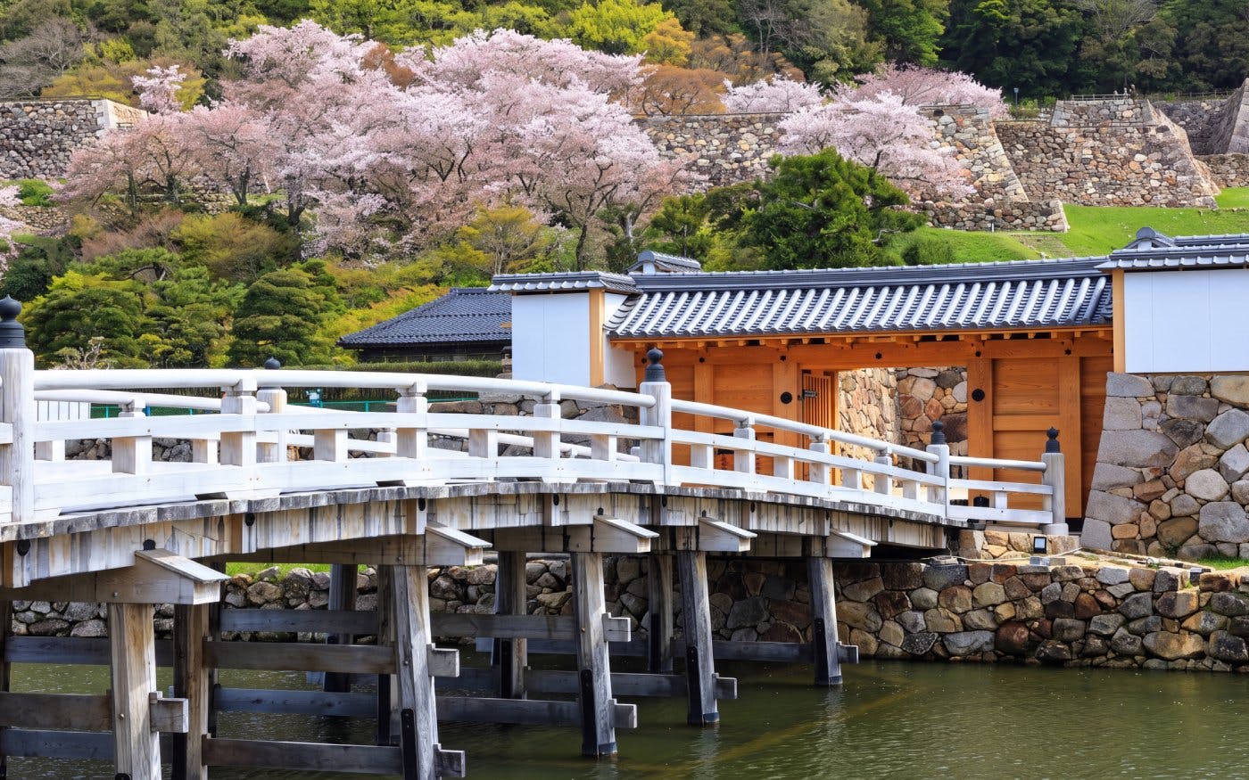 Nisannomon Gate at Tottori Castle ruins with cherry blossoms in the background.