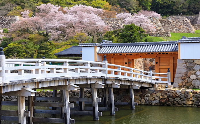 Nisannomon Gate at Tottori Castle ruins with cherry blossoms in the background.