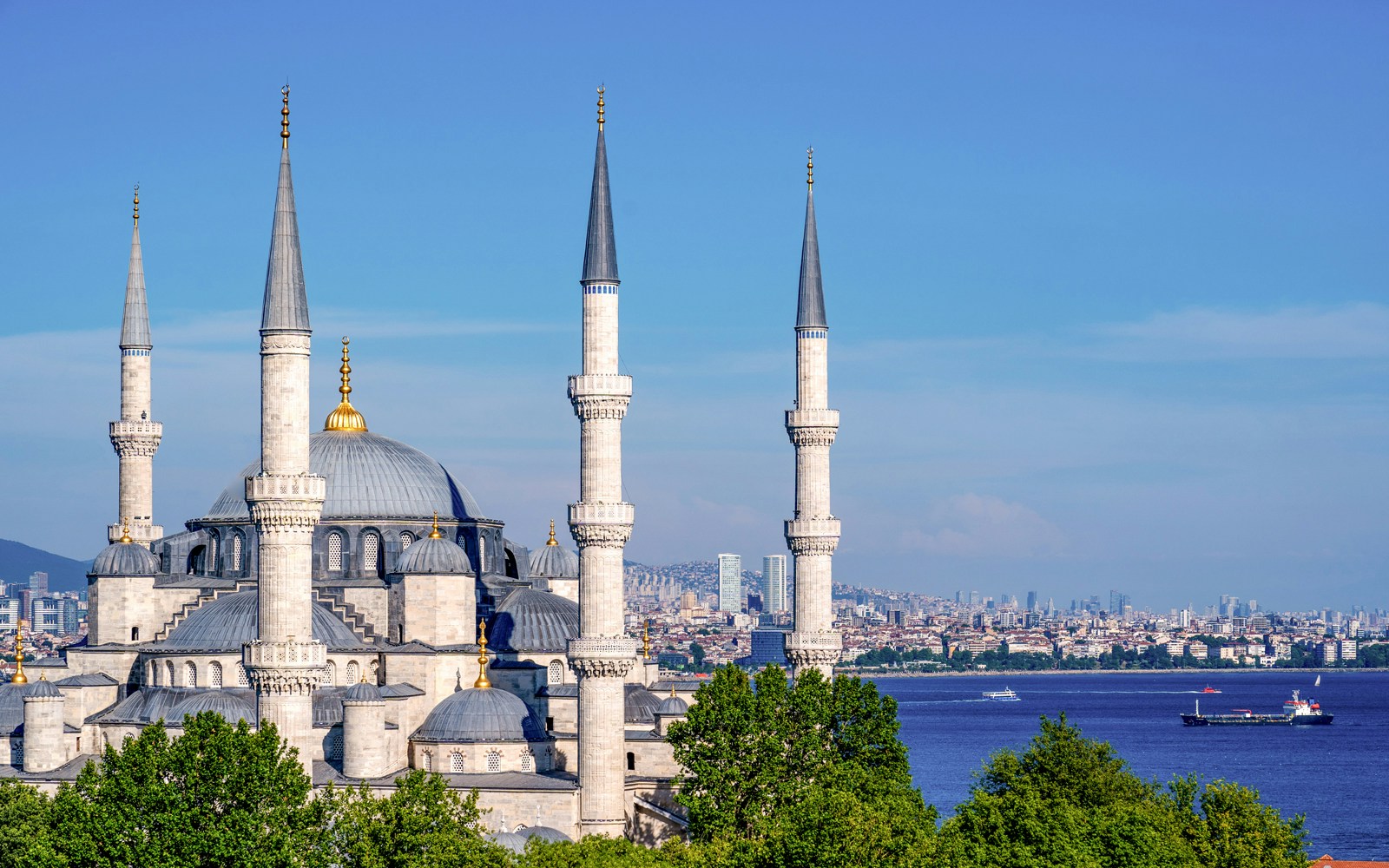 Blue Mosque minarets with Istanbul skyline and Bosphorus in the background.