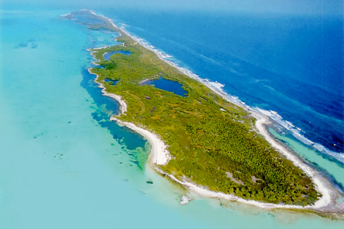 Aerial view of Isla Contoy's lush greenery and surrounding turquoise waters near Cancun.
