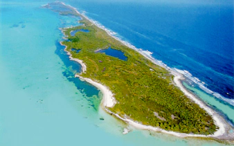 Aerial view of Isla Contoy's lush greenery and surrounding turquoise waters near Cancun.