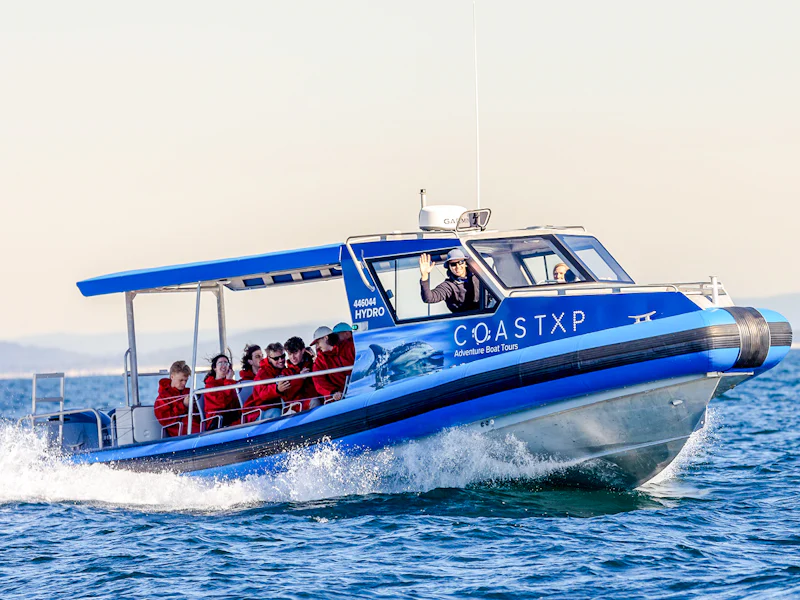 Lake Macquarie Whale Watching Eco Cruise - Newcastle