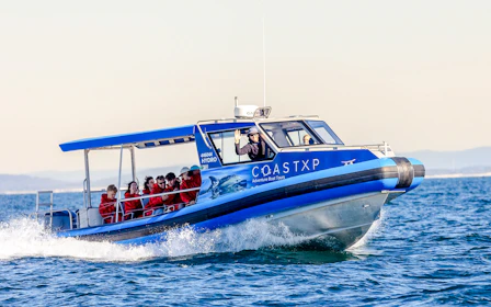 Lake Macquarie Whale Watching Eco Cruise