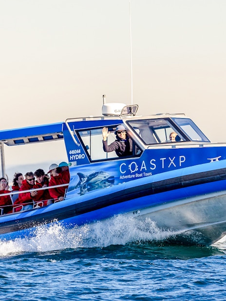 Boat with people on a whale watching tour in Lake Macquarie, Australia.