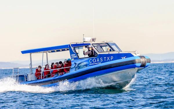 Lake Macquarie Whale Watching Eco Cruise