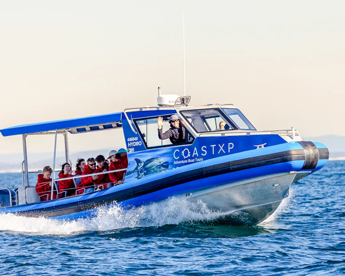 Lake Macquarie Whale Watching Eco Cruise
