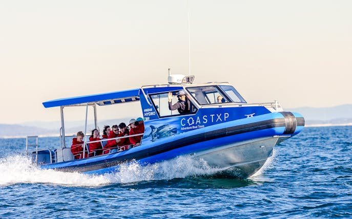 Boat with people on a whale watching tour in Lake Macquarie, Australia.