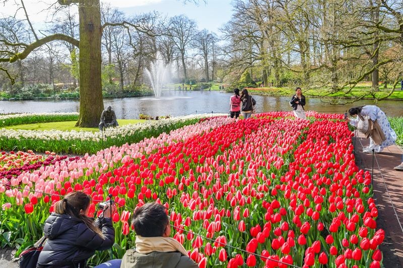 Tulips in bloom at Keukenhof Gardens with visitors and a pond in the background.