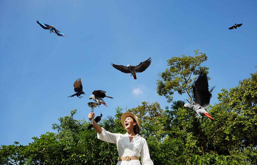 Singapore Zoo entrance with visitors, River Safari boat, Night Safari tram, and Bird Paradise aviary.