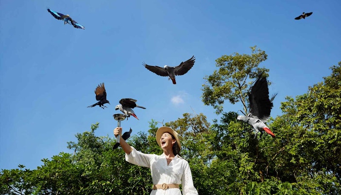 Singapore Zoo Timings
