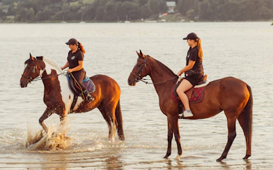 Horseback riding by a lake near Krakow, featuring two riders in the water.