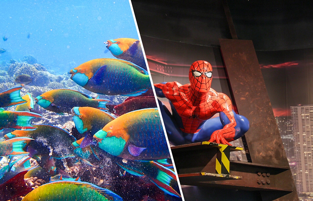 Combo Sea Life Bangkok + Madame Tussauds