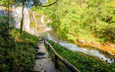 Pathway leading to a waterfall in Doi Inthanon National Park, Chiang Mai.