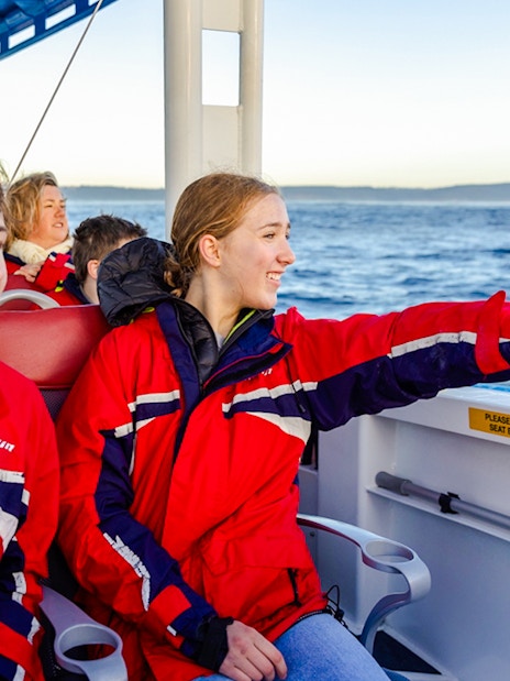 People on a boat whale watching in Newcastle, Australia.