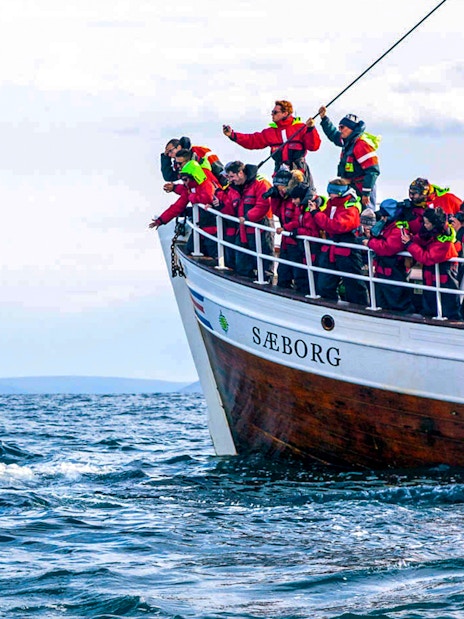 Humpback whale tail near tour boat on whale watching cruise.